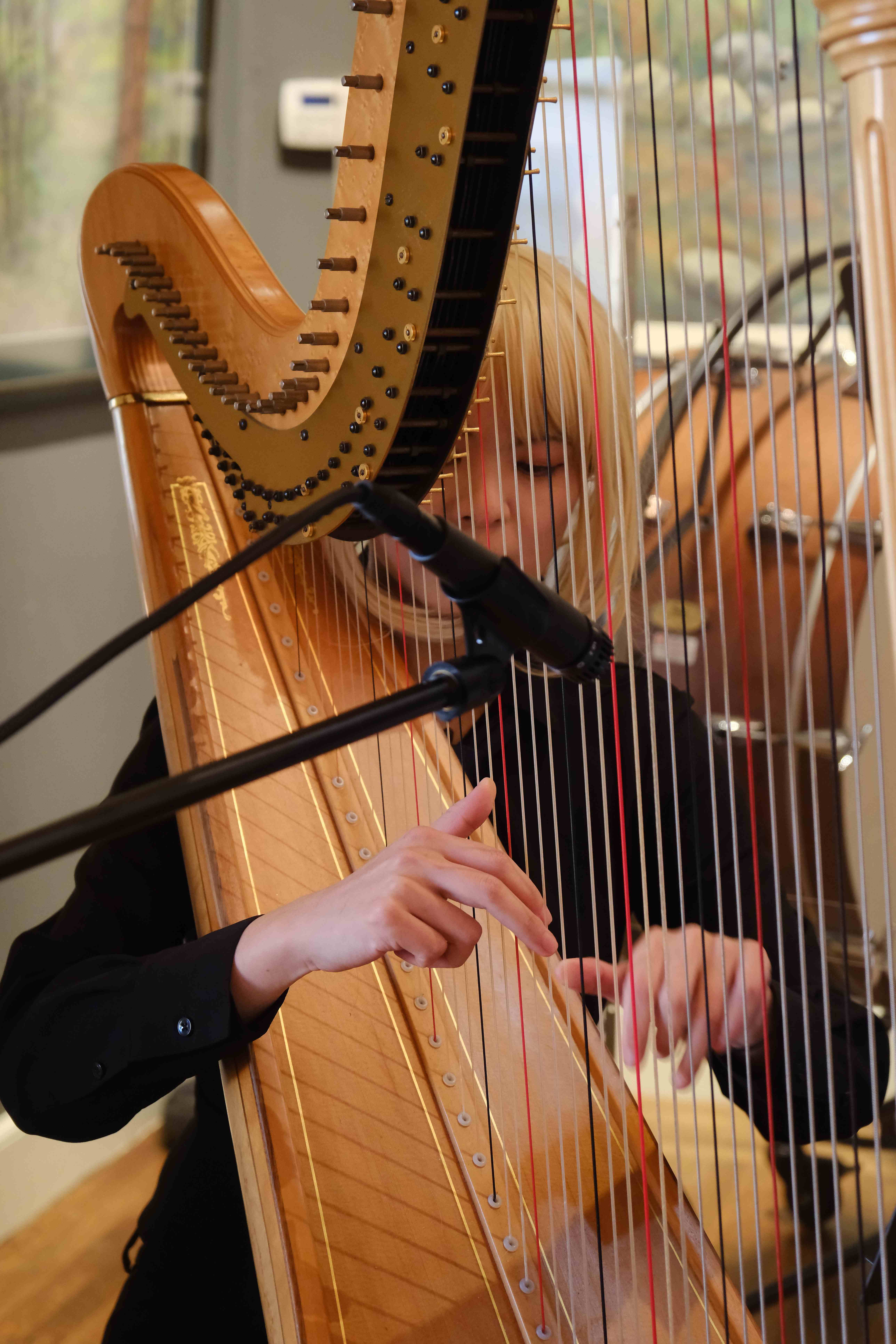 Harpist performing with delicate finger positioning on strings
